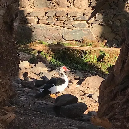 Casa Del Sol * Triquivijate