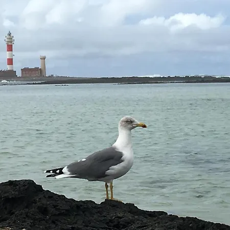 Apartamento Casa Del Sol *