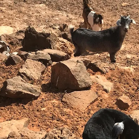 Apartamento Casa Del Sol Triquivijate