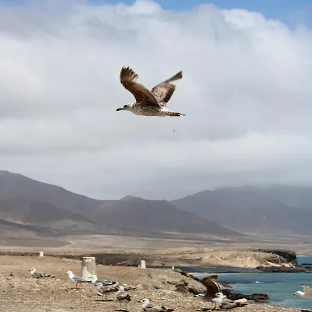 Casa Del Sol Triquivijate